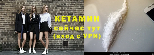стафф Елизово