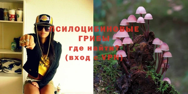стафф Елизово