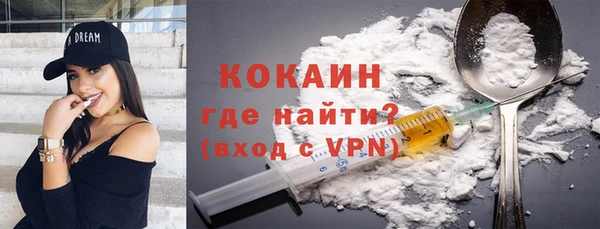 стафф Елизово