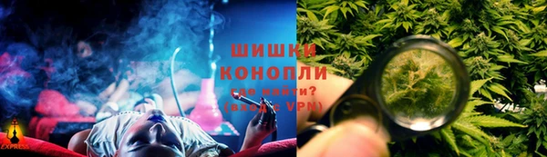 стафф Елизово