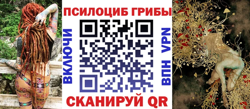 Псилоцибиновые грибы Cubensis  Купить  Дзержинский 